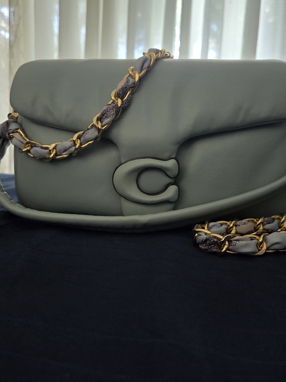 Coach Pillow Tabby 26